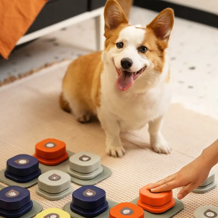 PawTalk™ — Dog Communication Button Set