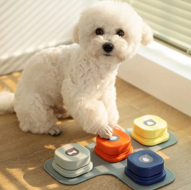 PawTalk™ — Dog Communication Button Set