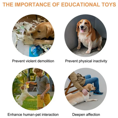 PawTalk™ — Dog Communication Button Set